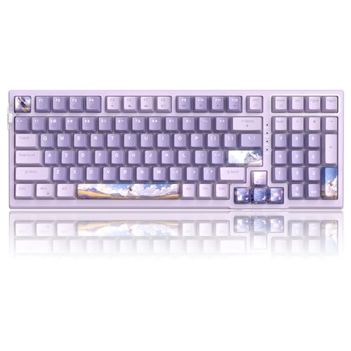Lavender / Violet Switch