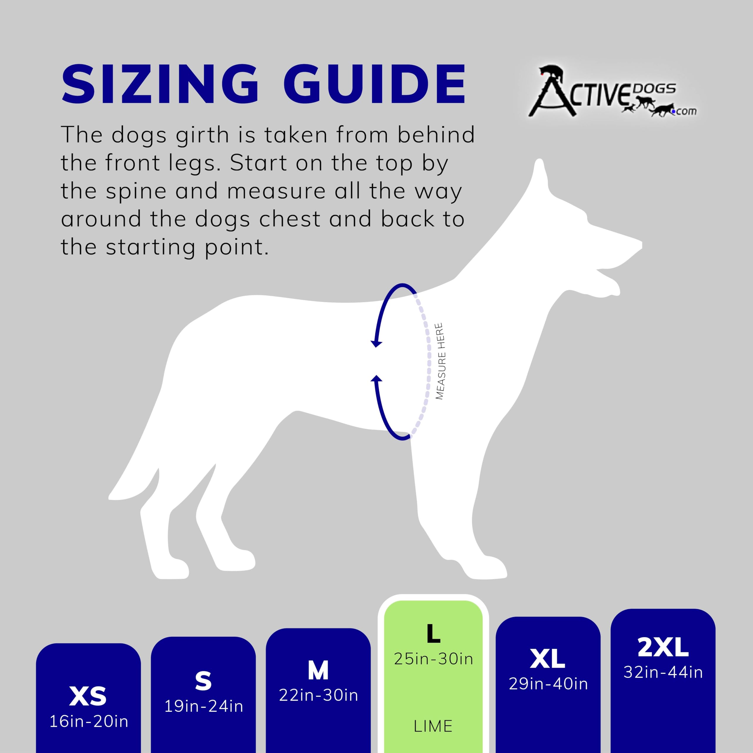 ActiveDogs Full Service Dog Kit - Large Lime - Service Vest Harness with Handle, ID Holder, ADA Cards, Medical Alert Keychain, Leash & Patches | Perfect for Service Dogs, Therapy Dogs & Emotional Support Animals | Ideal for Training, Public Access & Daily Assistance