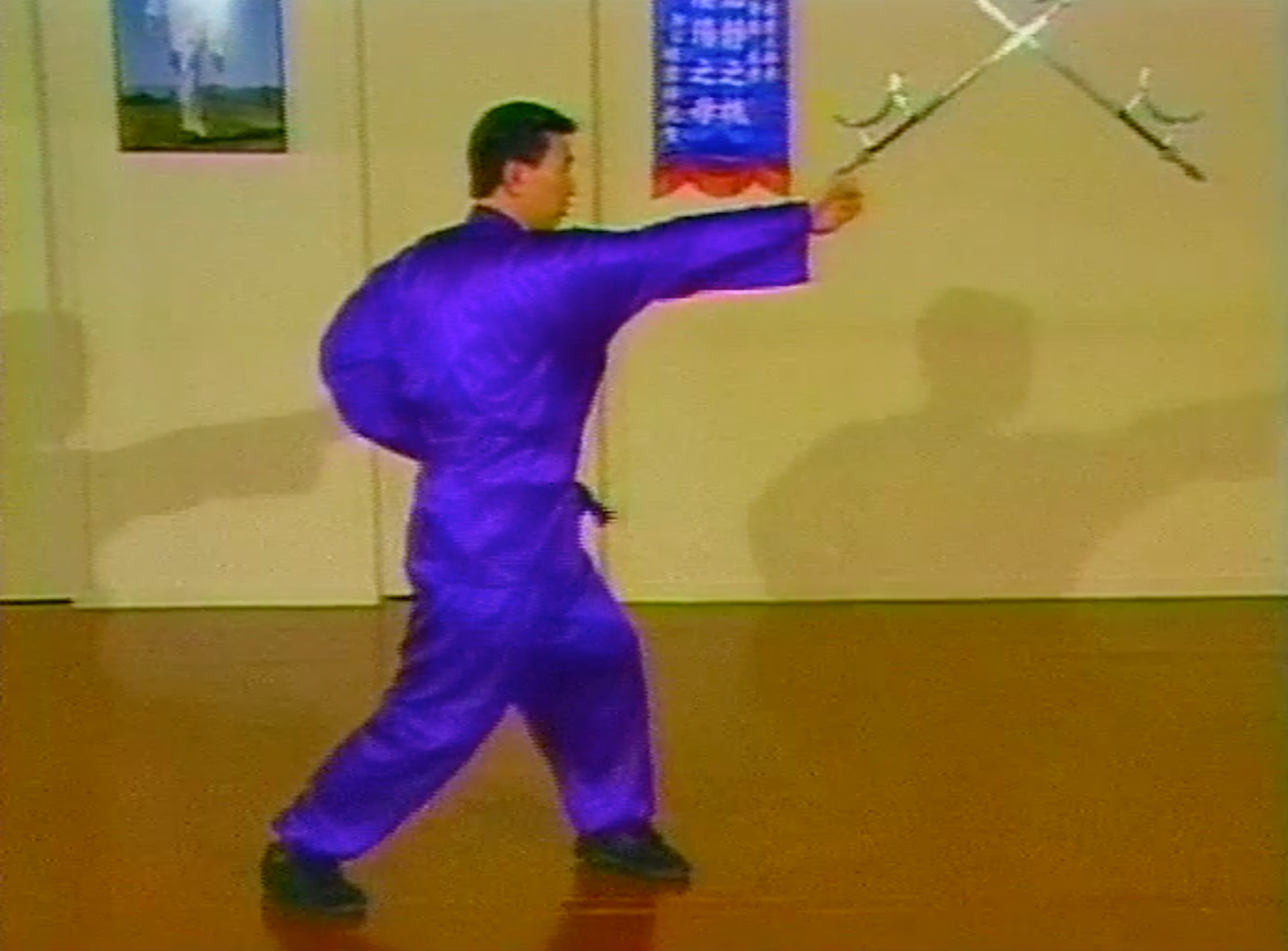 Choy Li Fut Kung Fu 8 DVD Set with Doc Fai Wong - Authentic Chinese Martial Arts Training Videos | Learn Self-Defense Techniques at Home