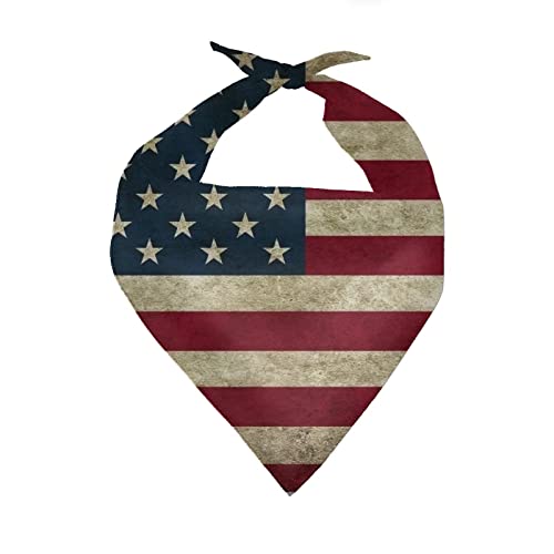 American Flag2