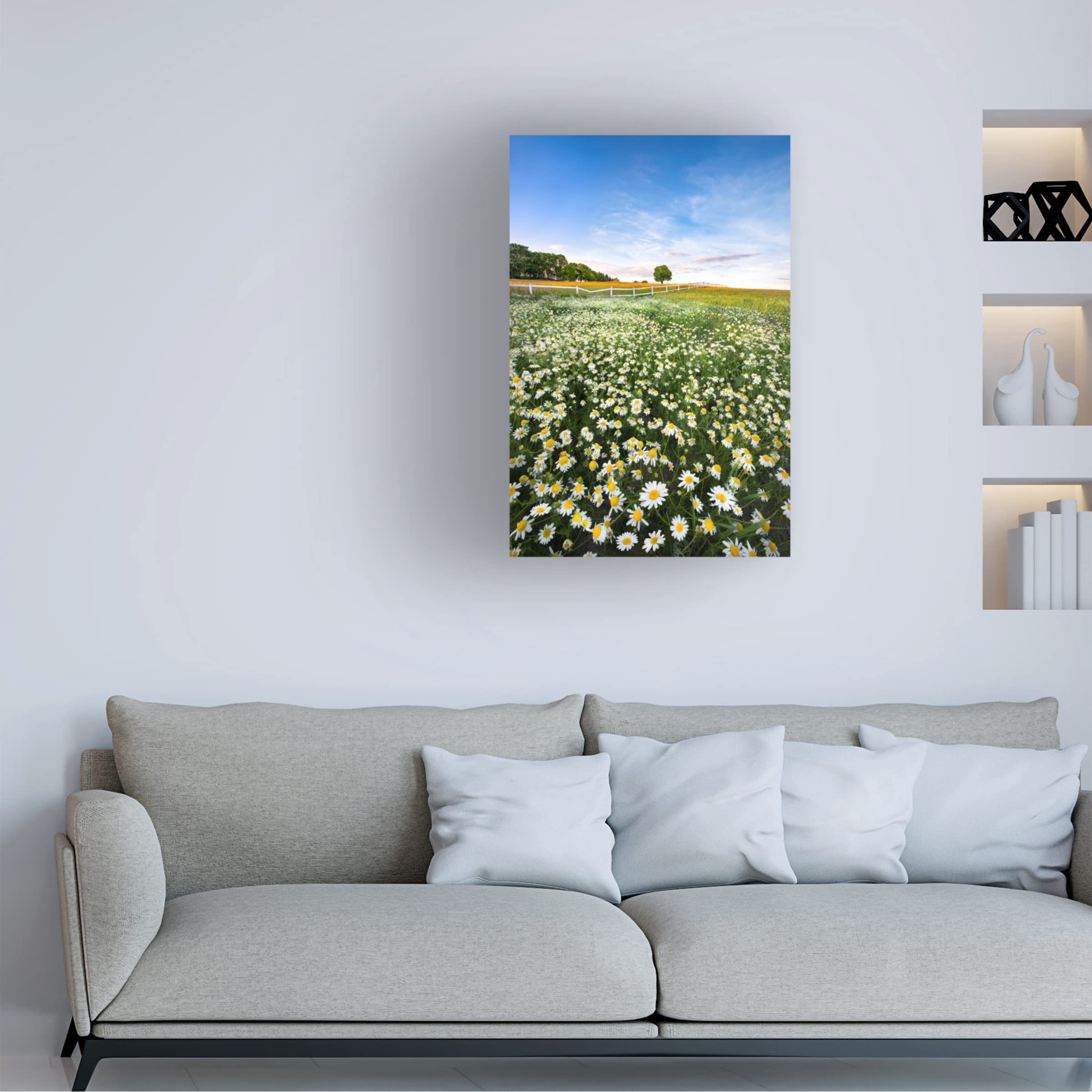 Christian Lindsten 'Daisy Field In Sweden' Canvas Wall Art Print - Scandinavian Home Decor for Living Room, Bedroom & Office