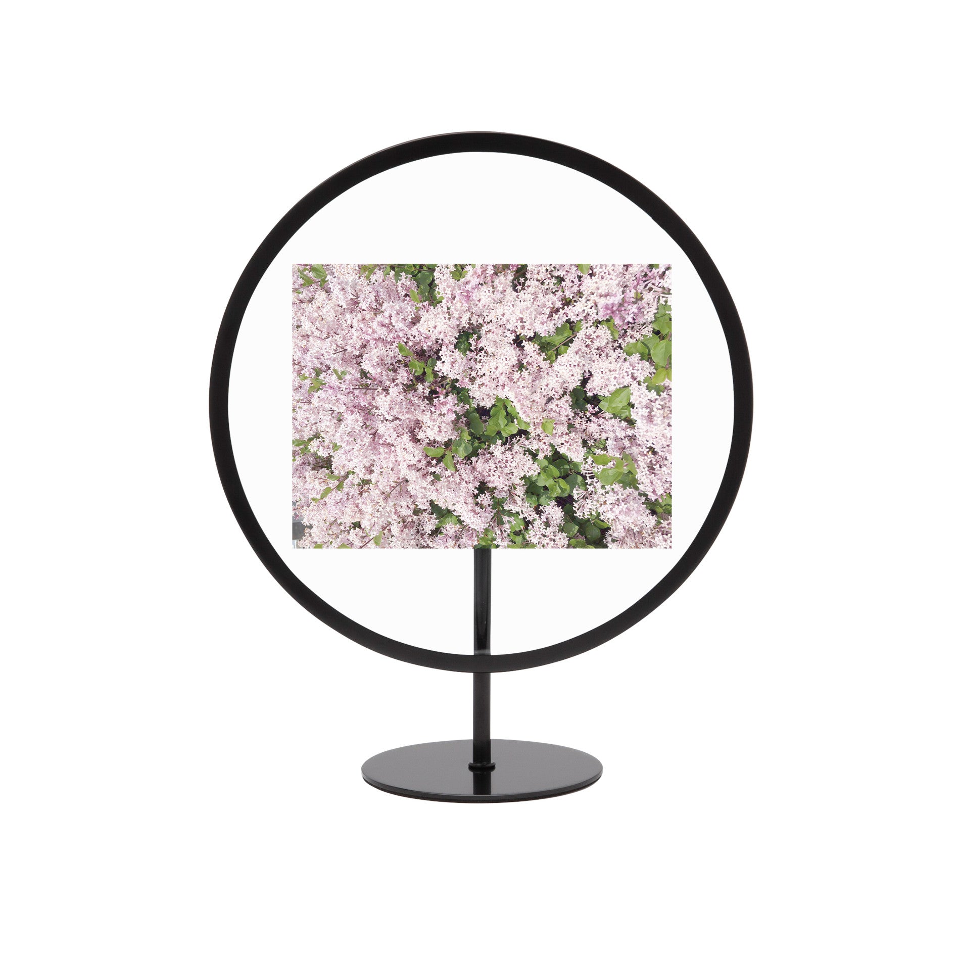 Infinity Picture Frame - Elegant Display for Photos & Art - Perfect for Home Decor, Gifts & Wall Art Displays