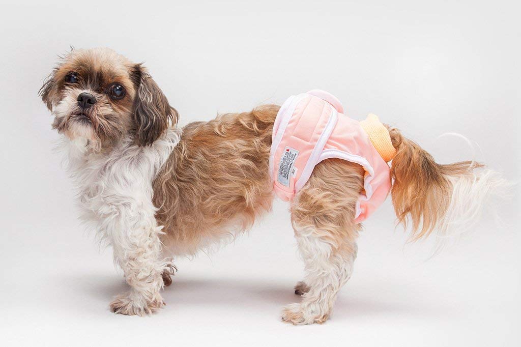 Washable Reusable Female Dog Diapers - Premium Absorbent Dog Panties for Small Dogs (Small Pink) | Perfect for Incontinence, Heat Cycles & House Training