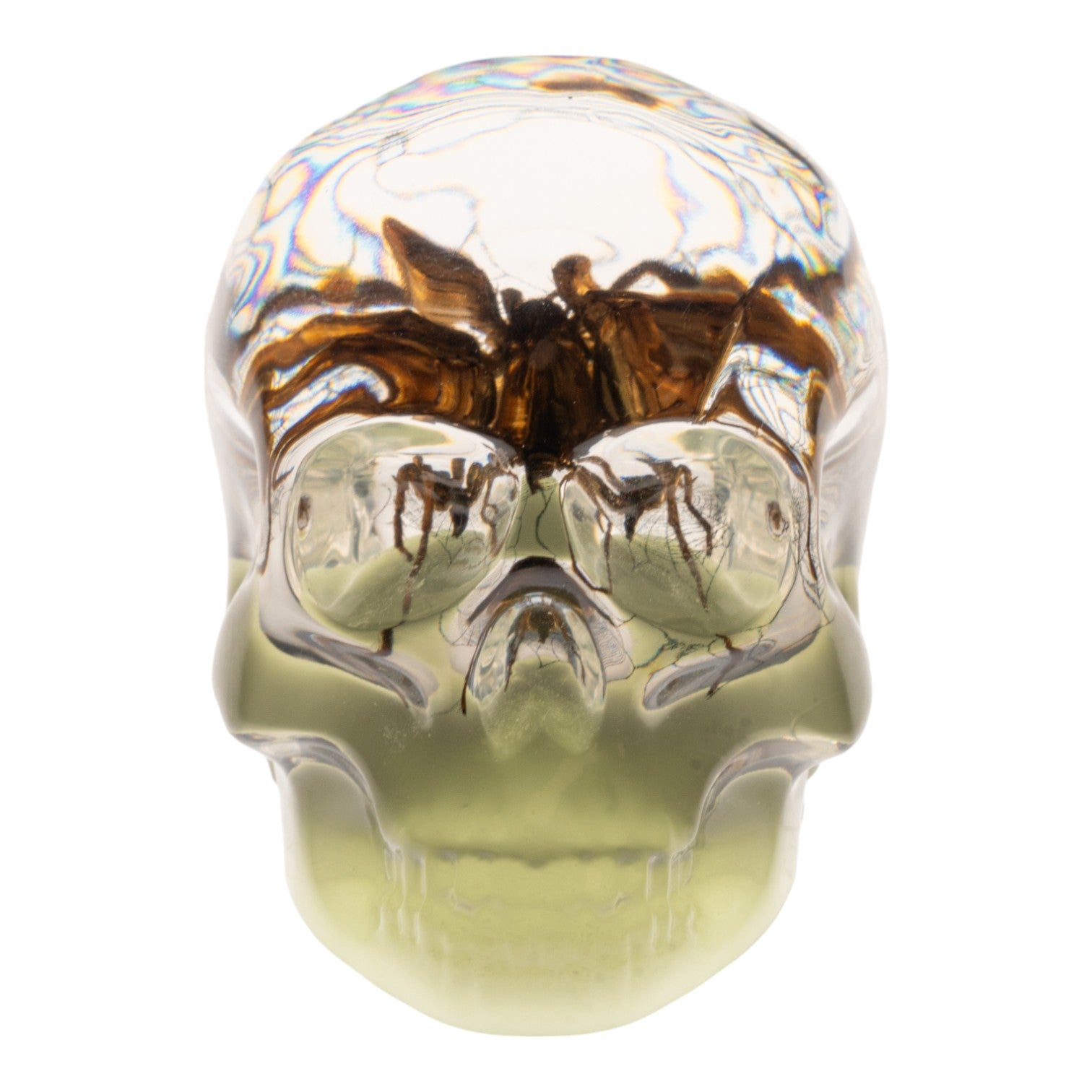 Glow in the Dark Acrylic Skull Magnet with Real Spider & Web - Unique Gothic Decor for Fridge, Lockers & Halloween Party Decorations