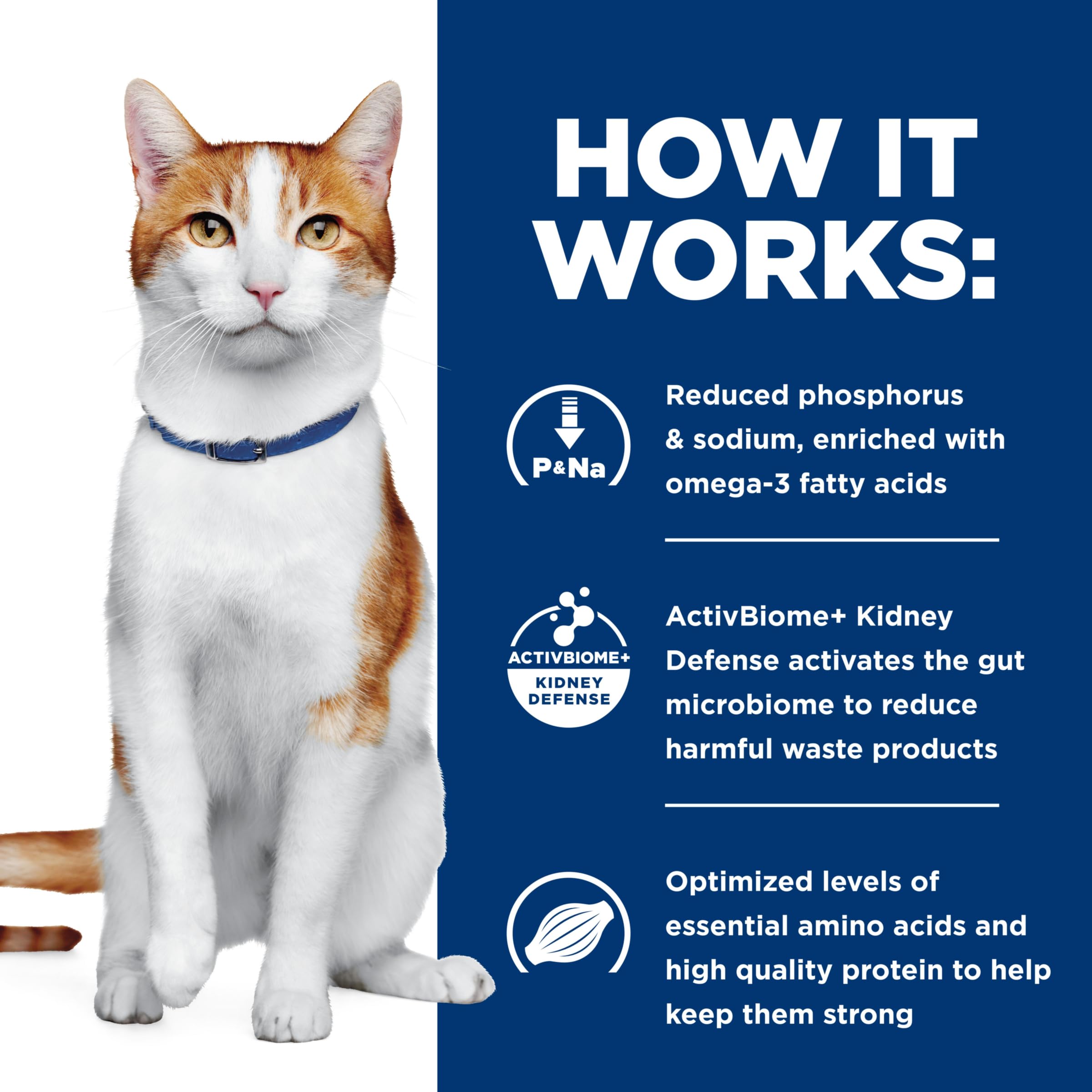 Hill's Prescription Diet k/d Kidney Care Wet Cat Food - Veterinary Diet with Vegetable, Tuna & Rice Stew, 2.9 oz Cans (24-Pack) | Supports Kidney Health for Cats with Renal Issues - Perfect for Senior Cats or Felines with Kidney Disease