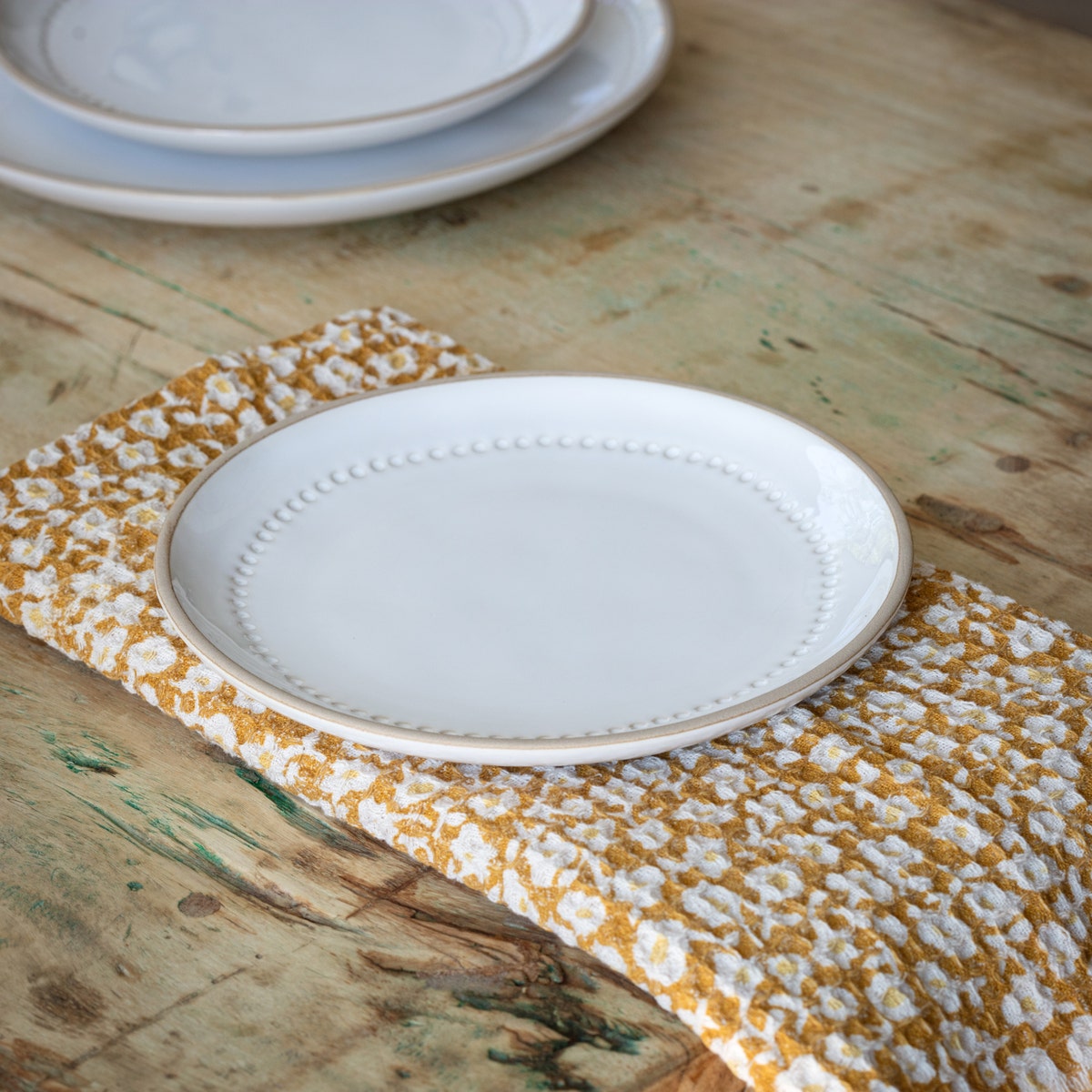 Isabella 12-Piece White Porcelain Dinner Plate Set - Elegant & Durable for Everyday Dining, Parties, and Special Occasions