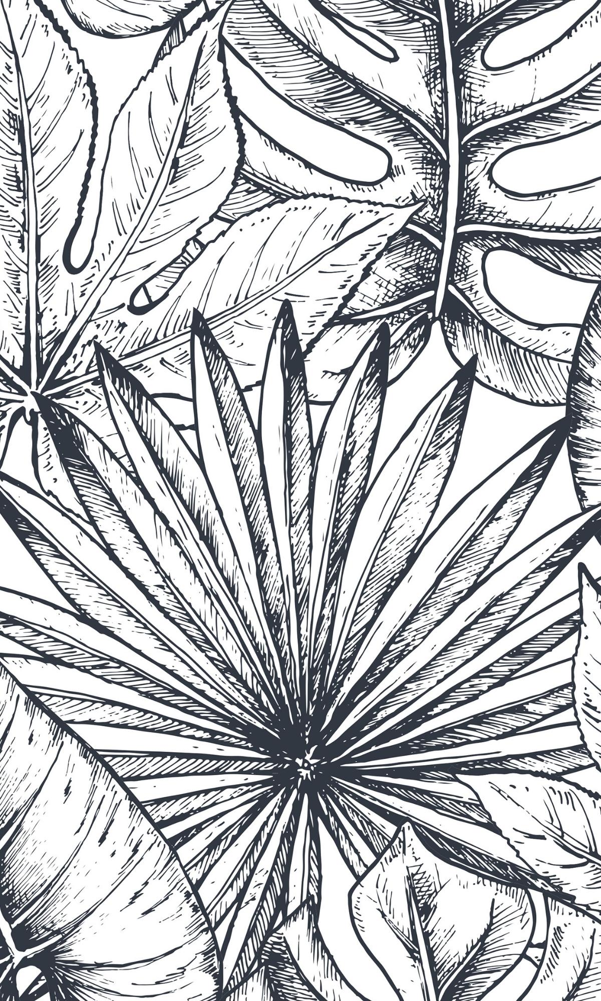 Black and White Sketch Leaves Mural Wallpaper M1164 Sample - Botanical Wall Decor for Living Room, Bedroom & Office