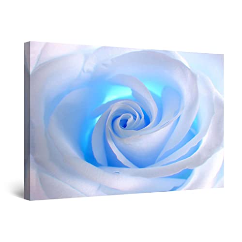 White Blue Rose
