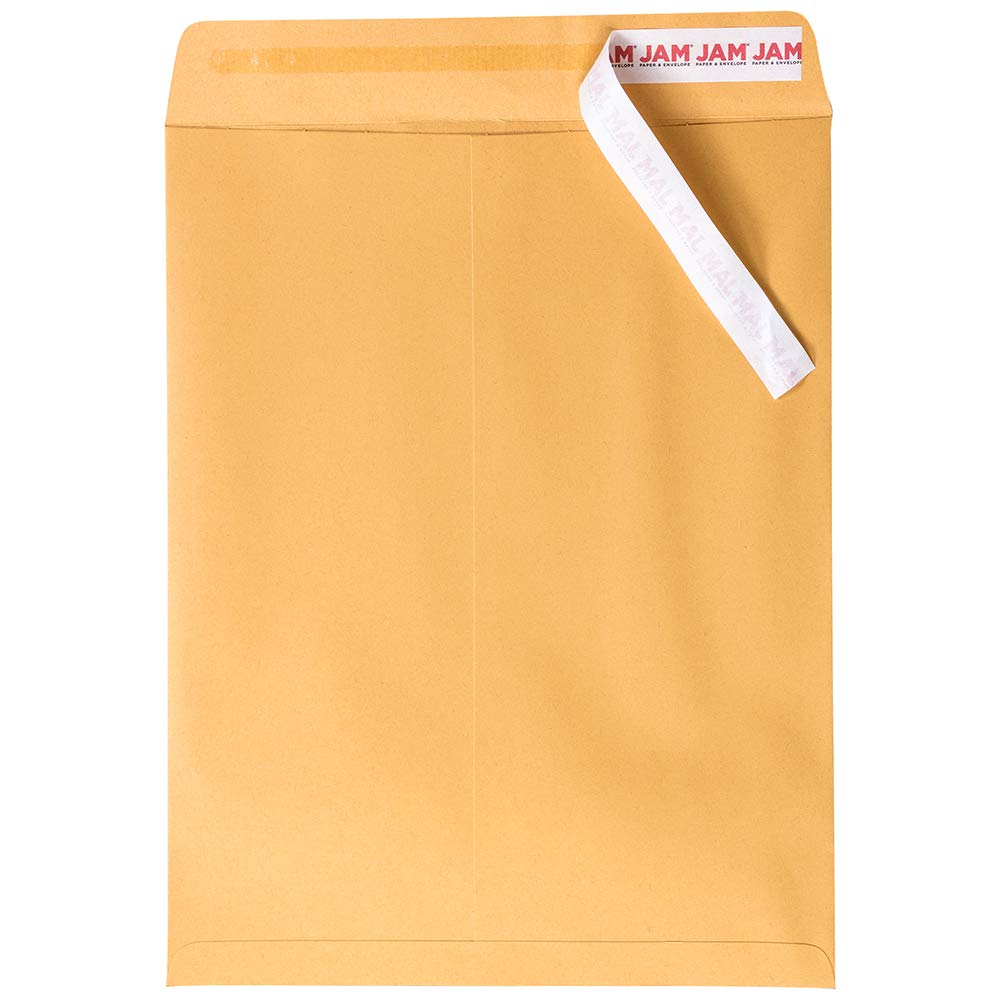 JAM PAPER 10 x 13 Inch Peel & Seal Open End Catalog Envelopes - Premium Brown Kraft Manila Paper - 250 Bulk Envelopes per Box | Perfect for Mailing, Business Documents & Office Supplies