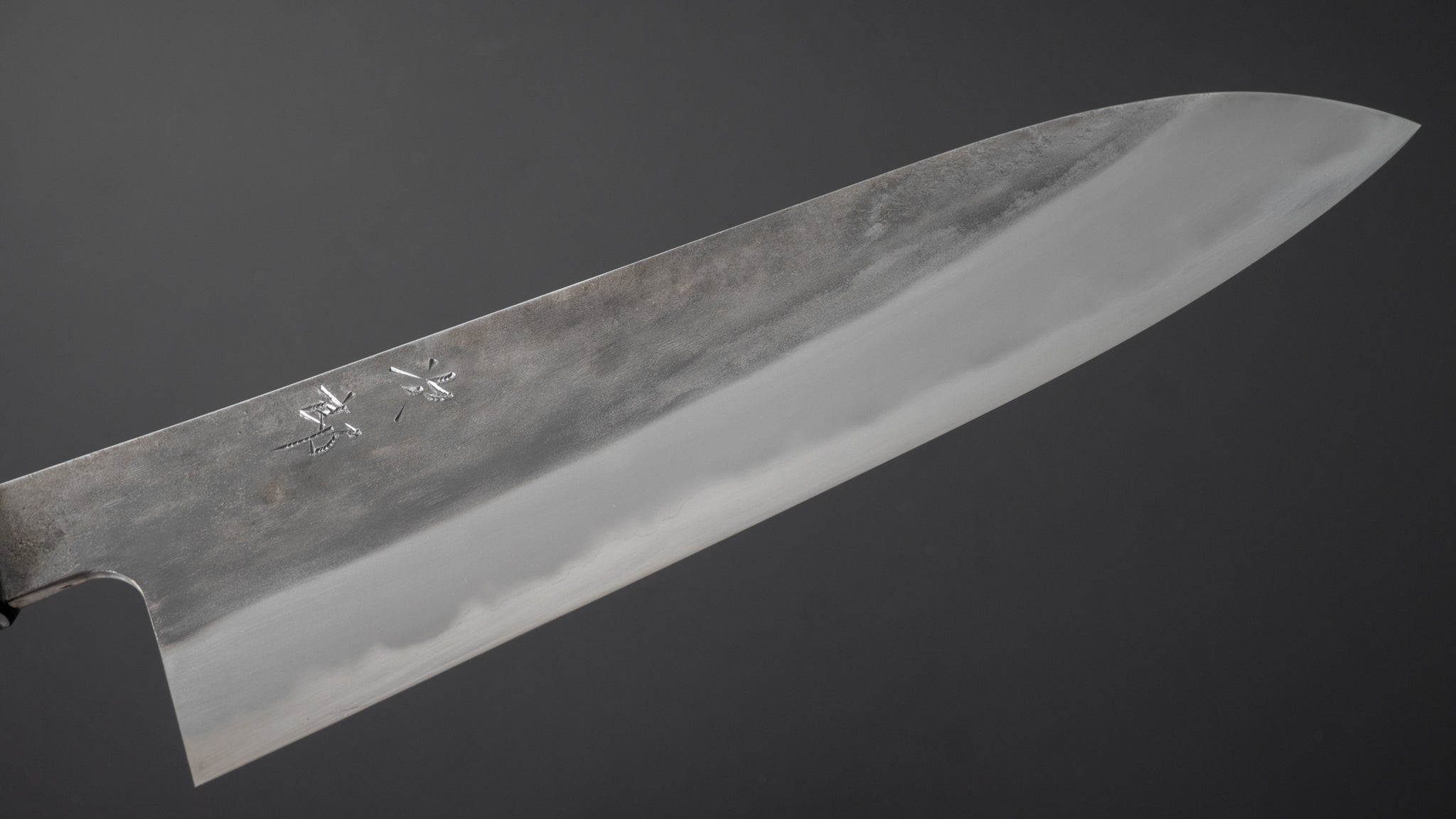Premium Jiro Tsuchime Wa Gyuto 225mm Japanese Chef Knife with Taihei Tagayasan Handle - Perfect for Sushi, Meat Cutting & Professional Kitchen Use (#369)