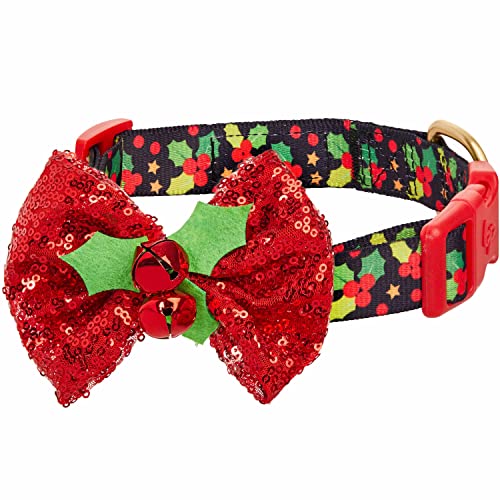 Christmas Holly