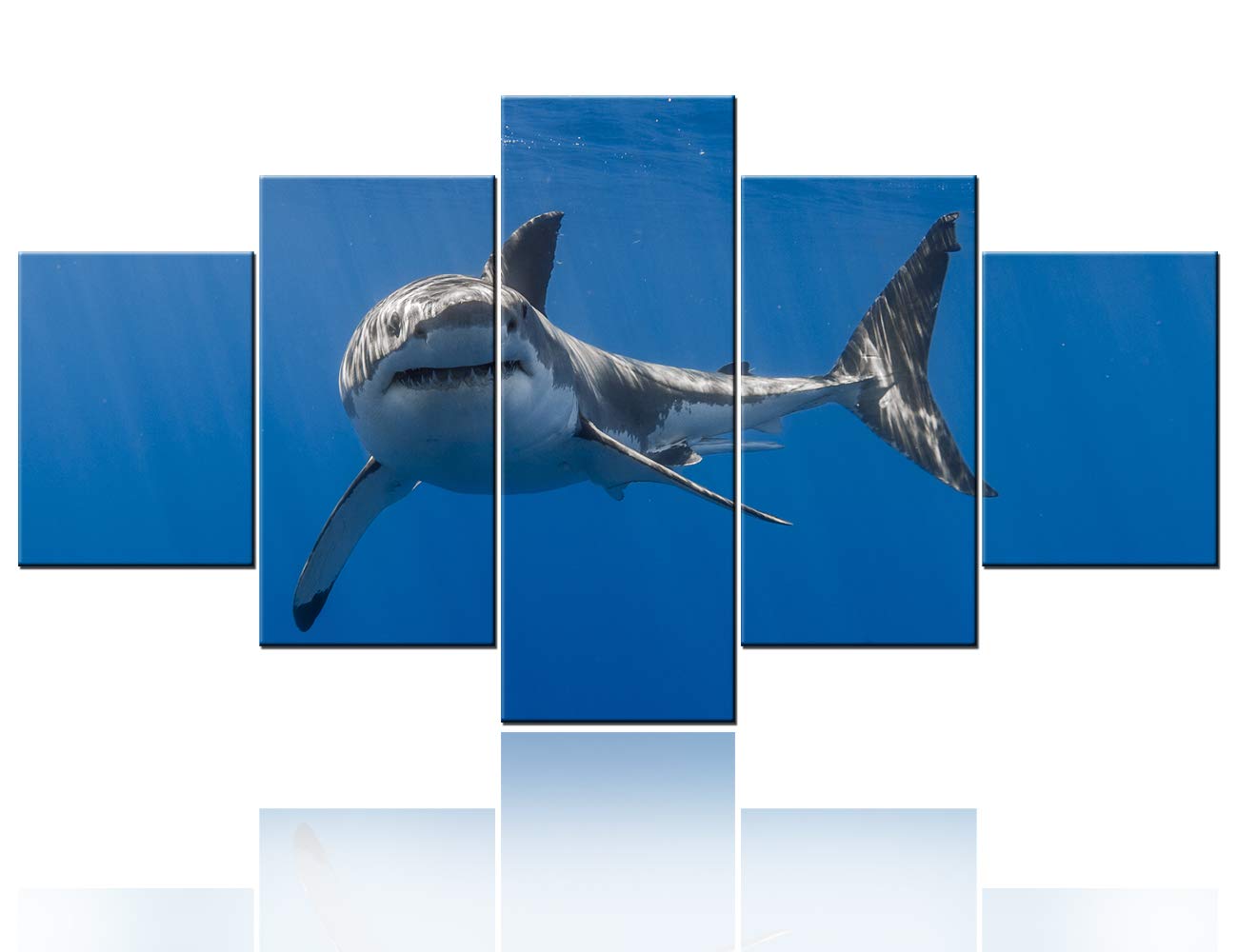 TUMOVO 5 Panel Canvas Wall Art - White Shark Swimming Ocean Painting, Teal Blue Modern Gallery Wall Decor, Stretched Framed Ready to Hang - Perfect for Living Room, Bedroom & Office Decor