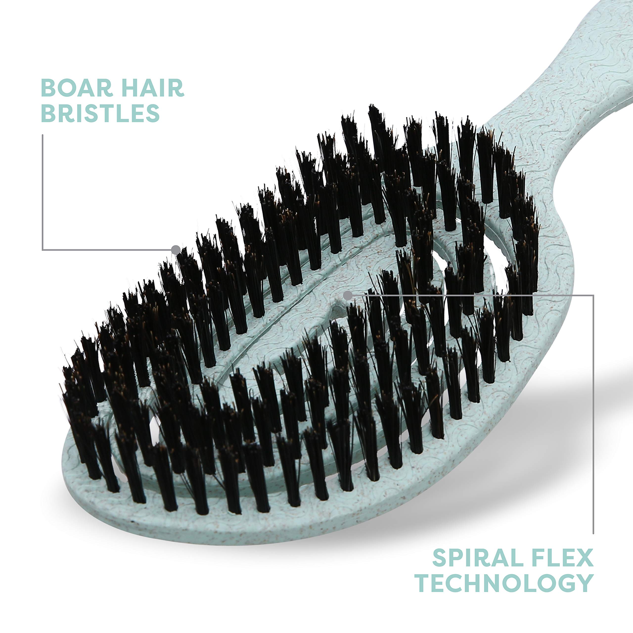 BioSilk for Dogs Eco-Friendly Boar Hair Bristle Brush - Mint Green Pet Grooming Brush with Ergonomic Handle for Shedding Control | 48 Pack | Perfect for Daily Brushing, Detangling & Coat Shine Enhancement