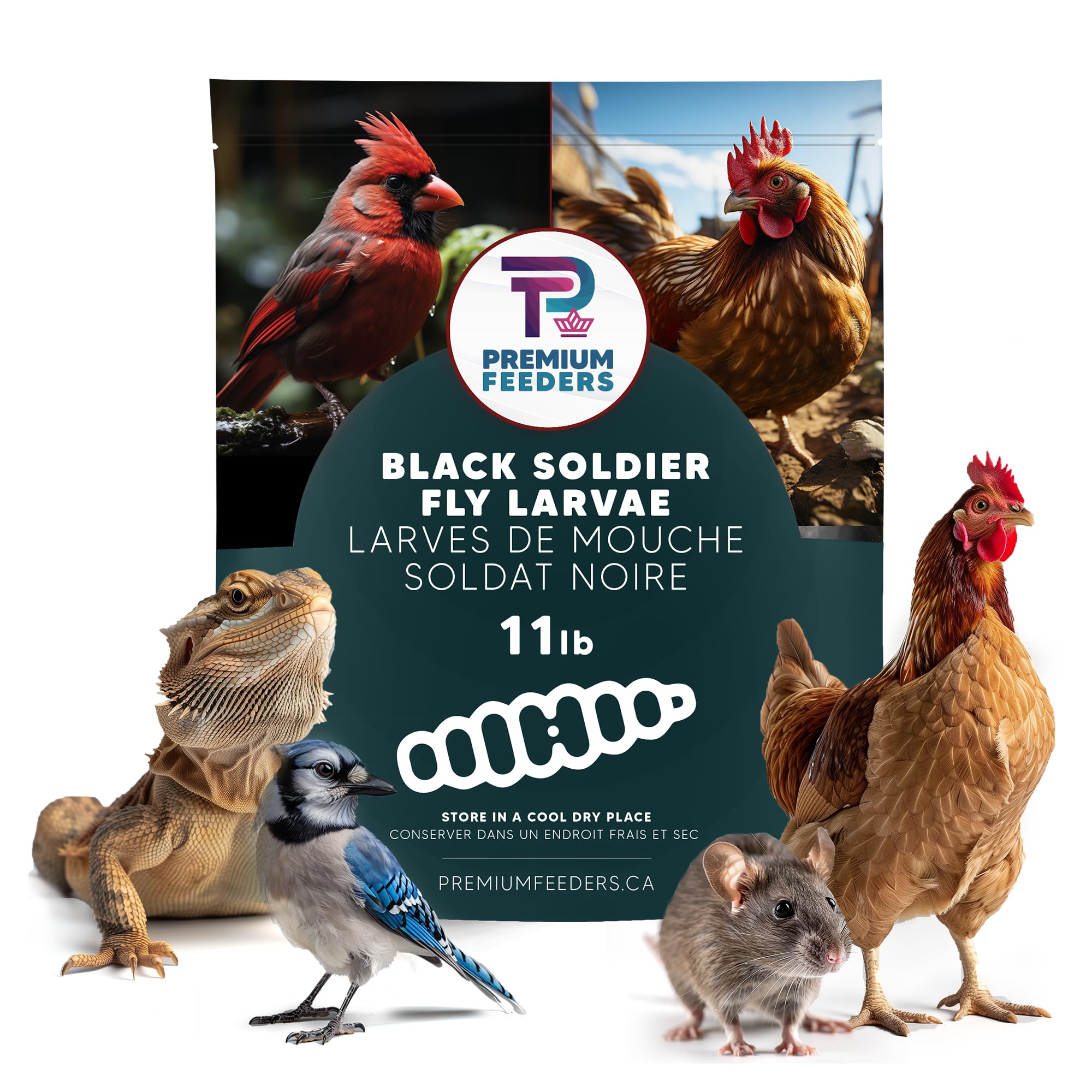 Premium Feeders Dried Black Soldier Fly Larvae - 11lb High Protein & Calcium Natural Pet Food - Healthy Treats for Chickens, Ducks, Birds, Quail, Turtles & Fish - Perfect for Poultry Feeding, Wild Bird Attraction & Aquatic Nutrition