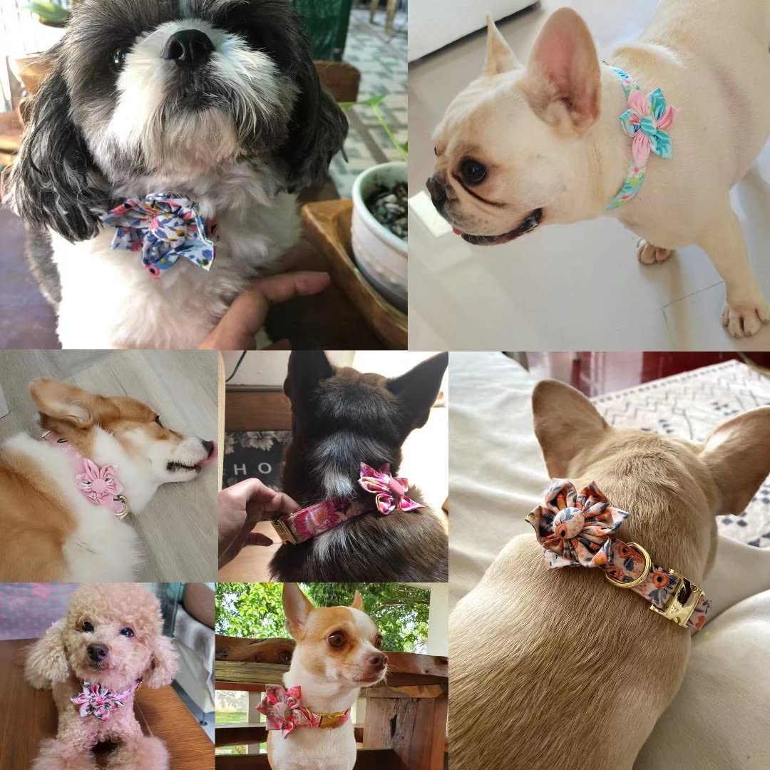 Beirui Cute Floral Dog Collar for Small Medium Large Dogs - Adjustable Pet Collar with Vibrant Flower Pattern, Durable Nylon Material for Walking, Training & Daily Use (Hot Pink, Size S) - Perfect for Outdoor Adventures, Park Visits & Stylish Pet Fashion