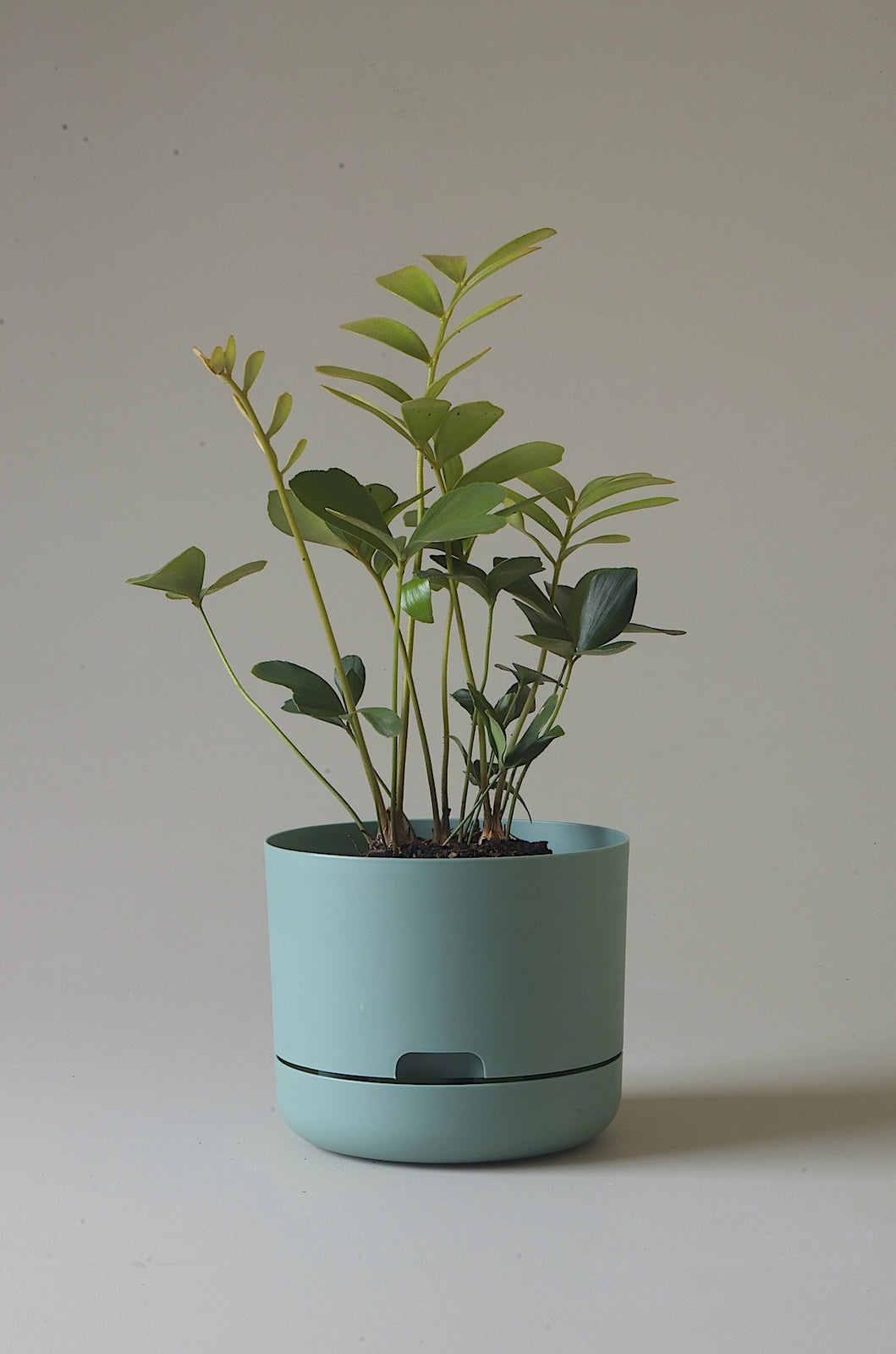 Mr. Kitly Self-Watering Plant Pot with Cabinet - Indoor Herb Garden Planter for Kitchen, Office & Home Decor - Eco-Friendly Green Ceramic Flower Pot with Automatic Watering System