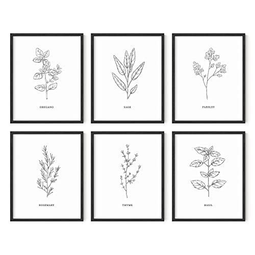 Black & White Herbs