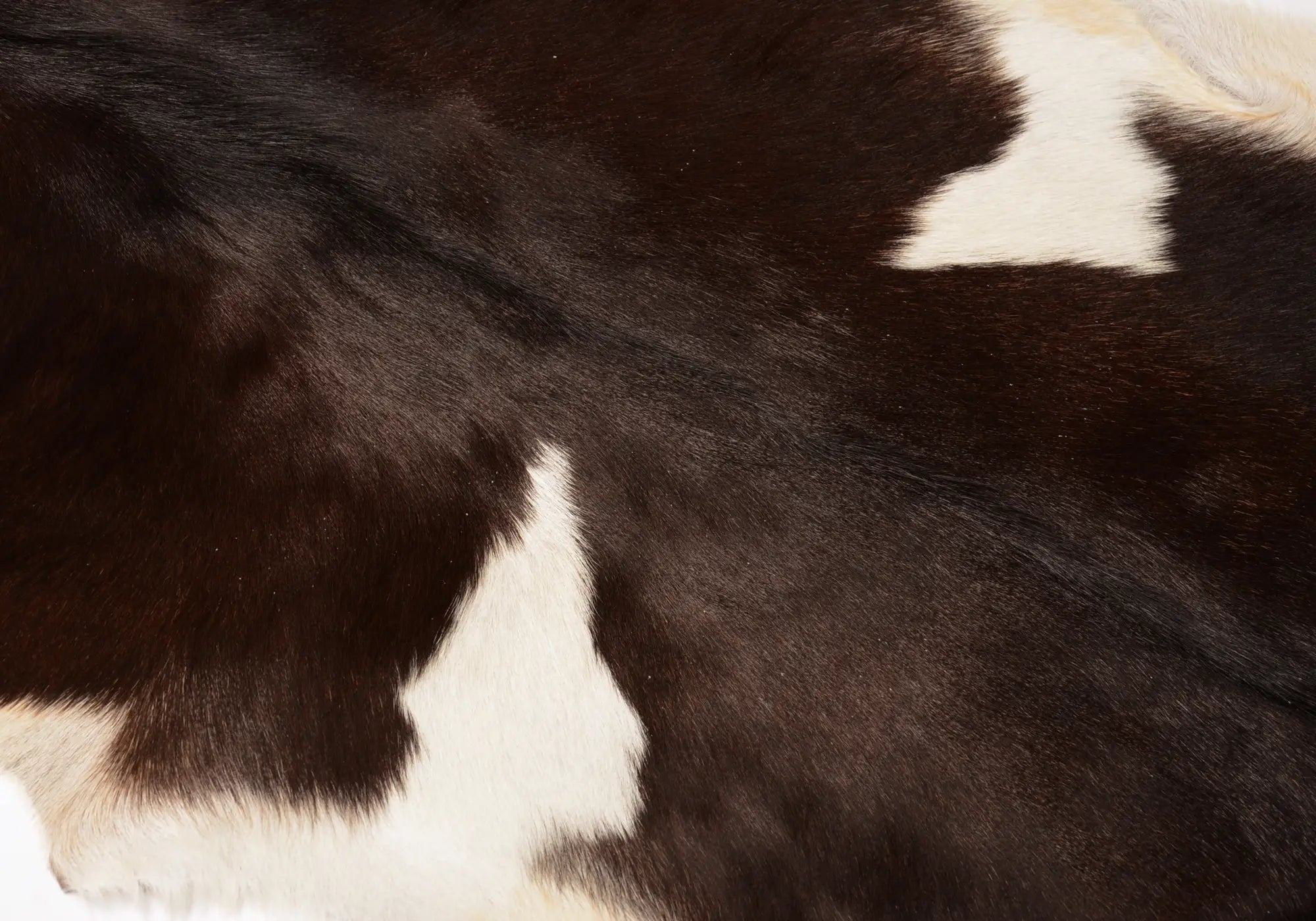 Premium Natural Goat Skin Leather - Dark Chocolate & White Color | Durable & Soft Material for Handbags, Wallets & DIY Craft Projects