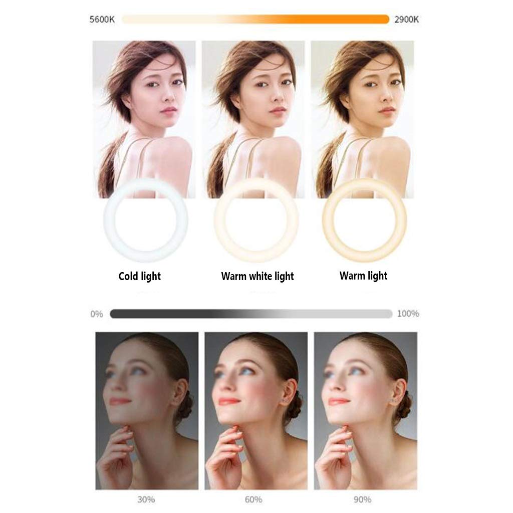 QFFL LED Ring Light with Stand - 18
