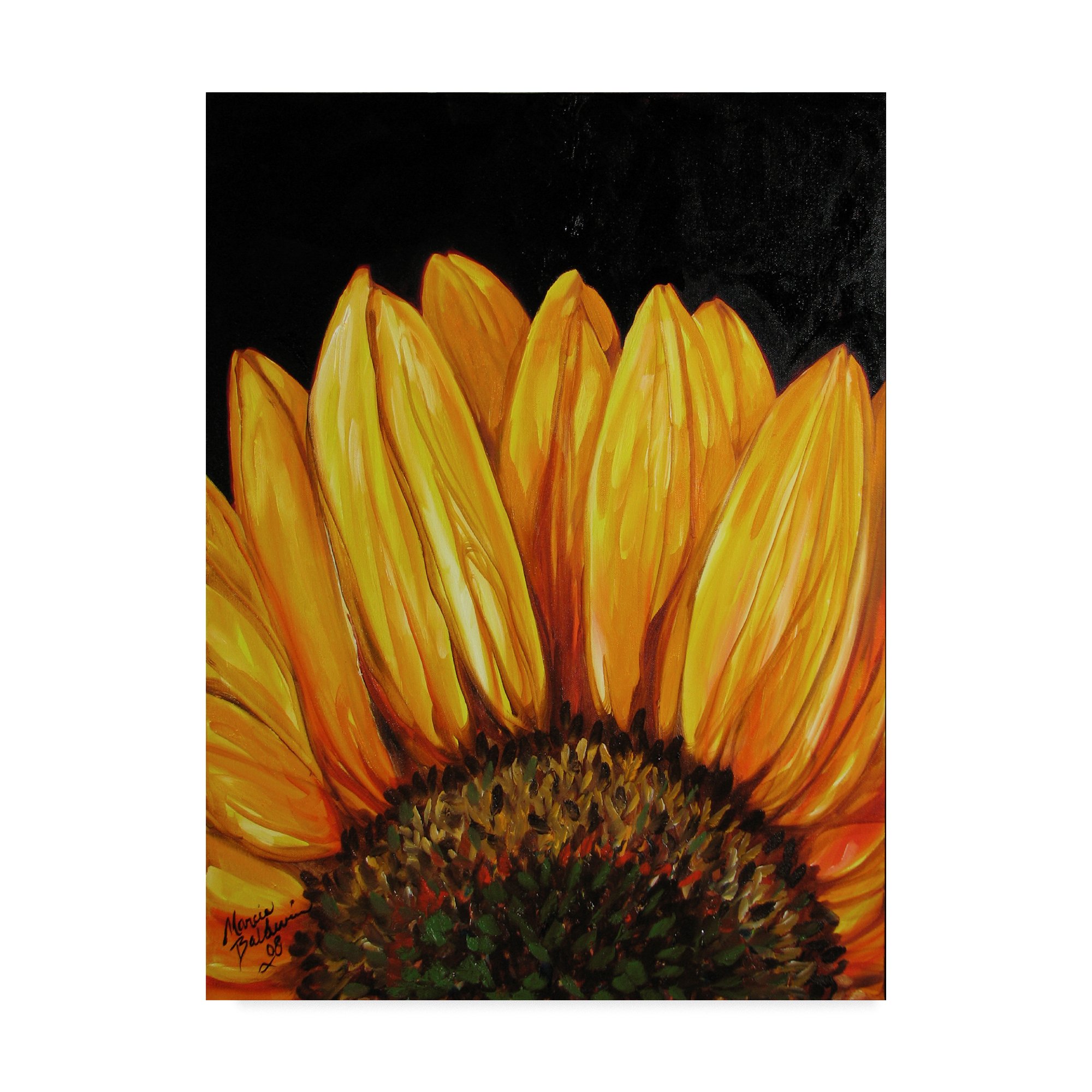 Trademark Fine Art Marcia Baldwin Multicolor Canvas Painting - Perfect for Living Room, Bedroom & Office Wall Decor