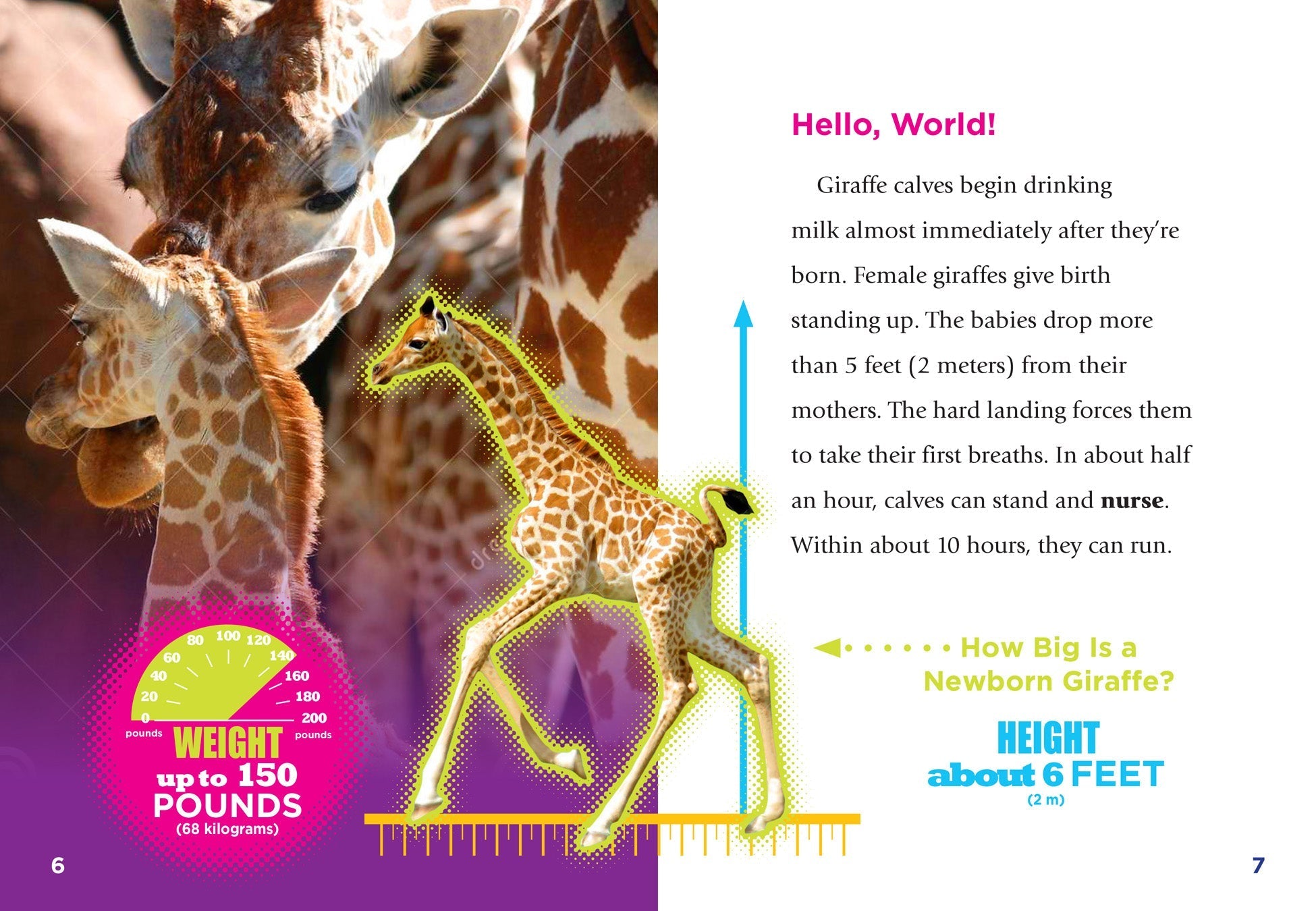 Baby Giraffes Book - 9781680723939 - Fun & Educational Animal Story for Kids, Perfect for Bedtime Reading & Early Learning