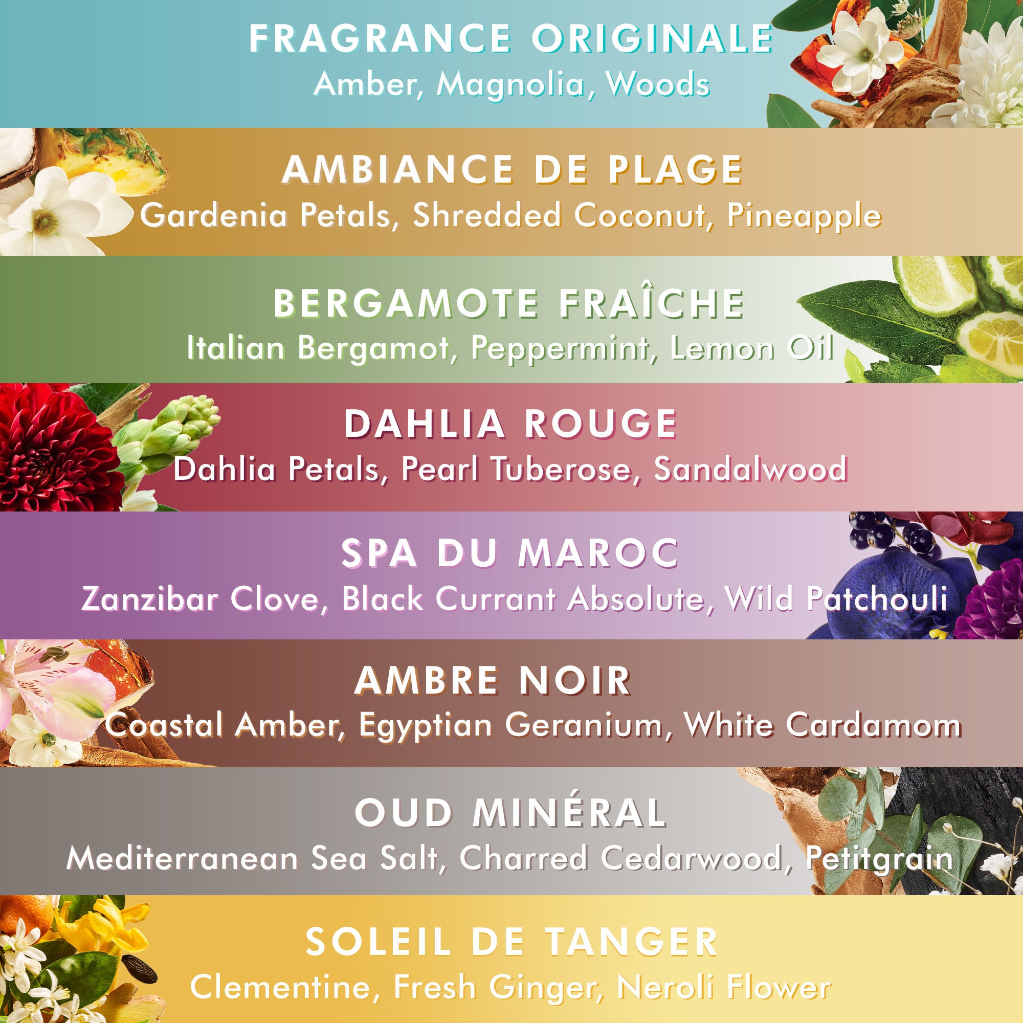 Hand Wash Soleil de Tanger - Luxury Scented Hand Soap with Exotic Fragrance for Bathroom, Kitchen & Guest Washroom | Perfect for Home, Spa & Hotel Use