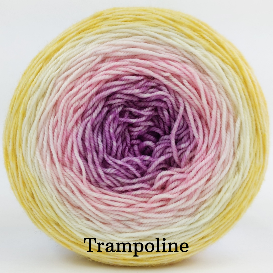 Knitcircus Yarns Sweet As Can Bee Gradient Yarn - Ready to Ship | Perfect for Knitting, Crocheting & DIY Crafts
