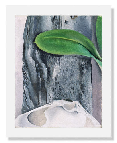 Georgia O'Keeffe Shell and Old Shingle No. I Art Print - Vintage Wall Decor for Living Room, Bedroom & Office - Famous American Artist Painting Reproduction