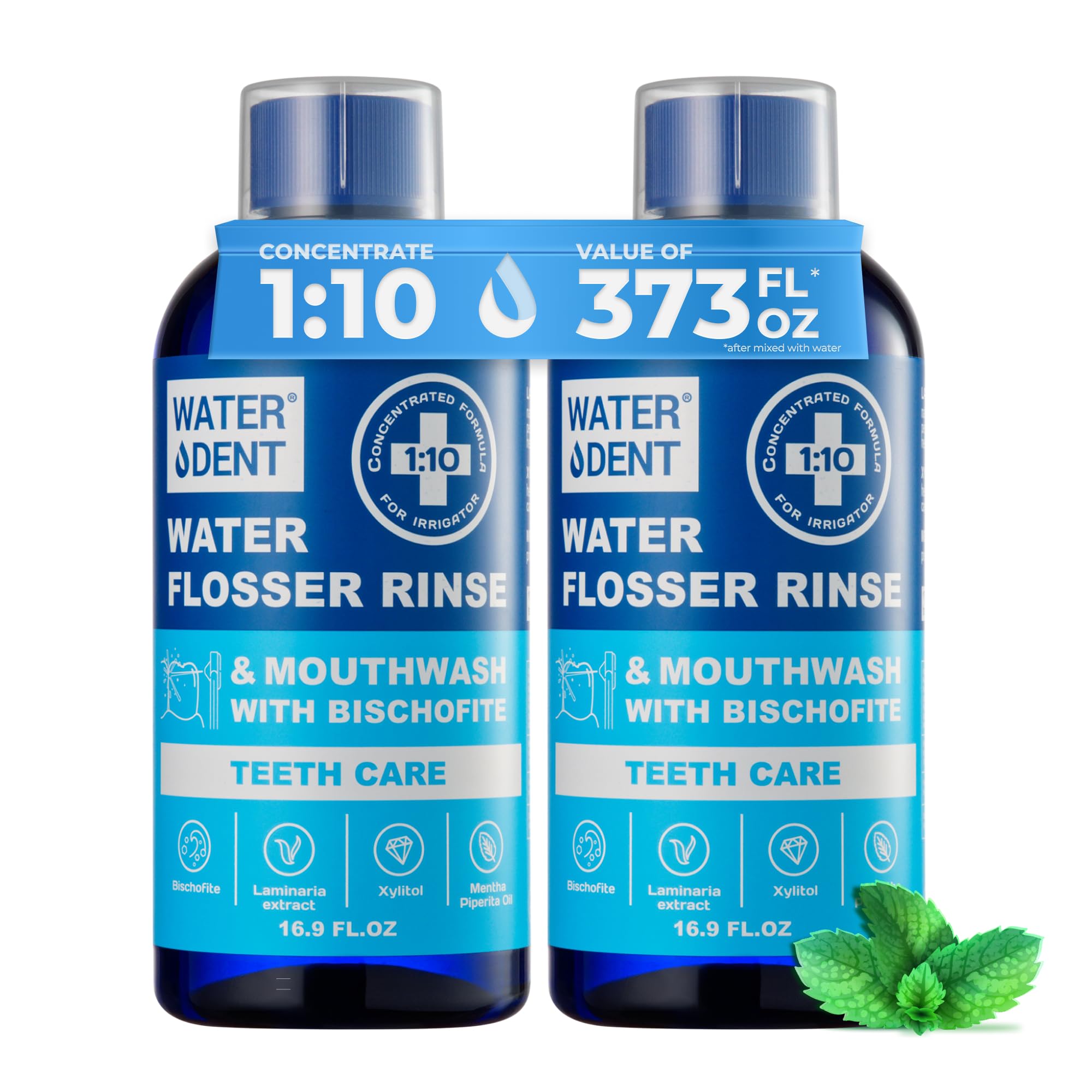 Concentrated Oral Irrigant Solution for Water Flossers - Mint Flavor, Alcohol & Fluoride Free Teeth Rinse (Pack of 2, 372 fl.oz) | Made in USA | Ideal for Daily Dental Care, Gum Health & Fresh Breath