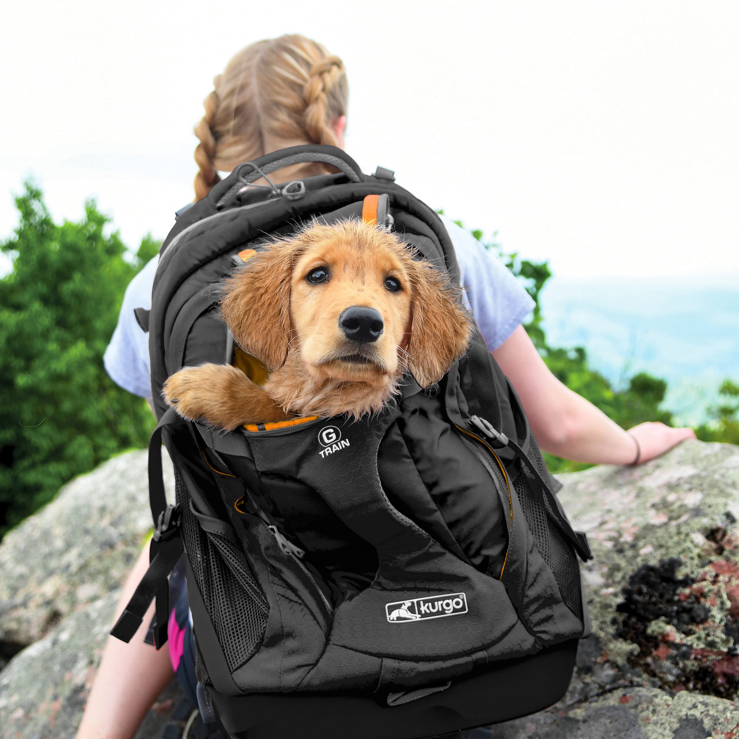 Kurgo G-Train Dog Carrier Backpack for Small Dogs & Cats - Adjustable Chest Straps & Hip Belt - Reflective & Waterproof Design - Perfect for Hiking, Camping, Travel & Outdoor Adventures (Black)