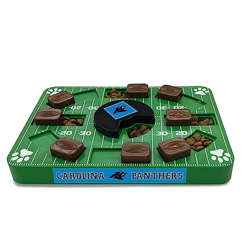 CAROLINA PANTHERS