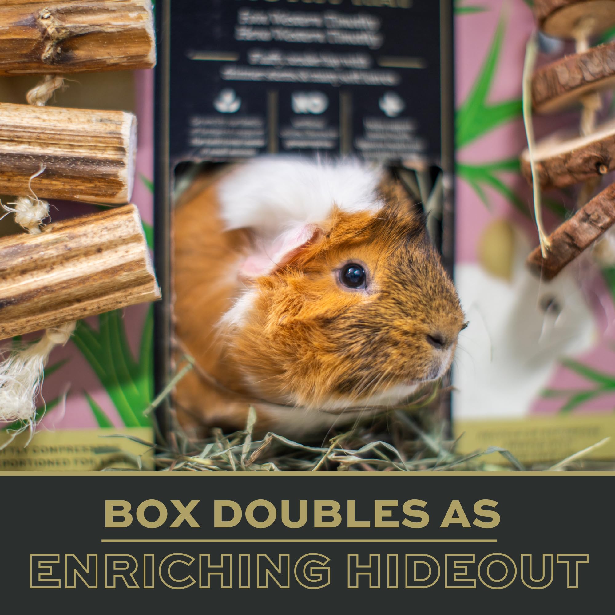 Premium Oxbow Timothy Hay for Rabbits, Guinea Pigs & Chinchillas - High Fiber Rabbit Food for Dental Health - Soft & Lush Prime Cut (40oz) - Perfect for Daily Feeding & Small Pet Nutrition