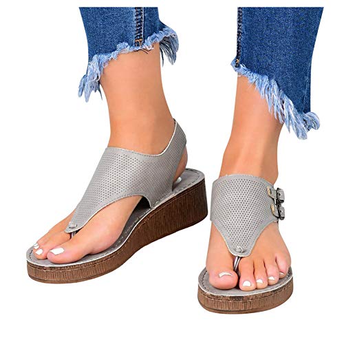 Z61-grey