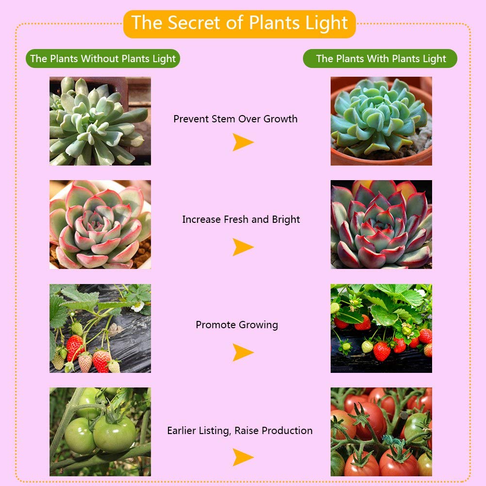 5W 28-LED Full Spectrum Plant Grow Light Bulb for Indoor Plants, Greenhouse, Vegetables, Melons & Horticulture - Perfect for Small Grow Boxes, Garden Nursery & Indoor Gardening Needs