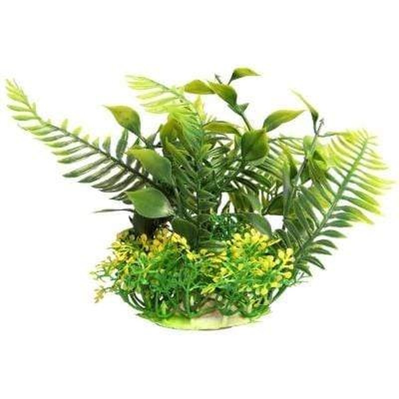 Aqua One Ecoscape Small Green Fern 10cm - Live Aquatic Plant for Freshwater Aquariums | Perfect for Fish Tanks, Aquascaping & Natural Decor