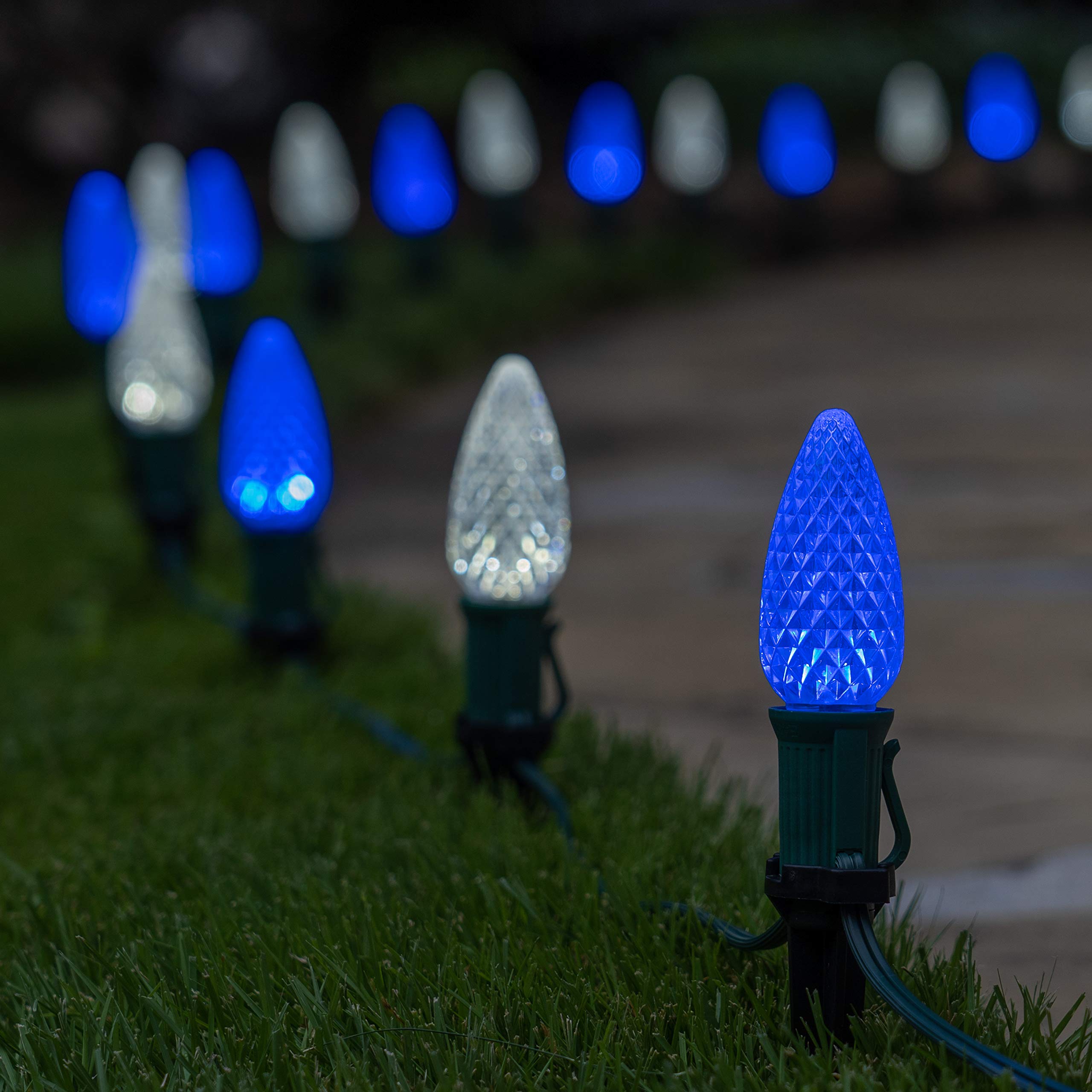 Wintergreen Lighting 50ft OptiCore LED Blue & White C9 Outdoor Christmas Pathway Lights - 4.5ft Stakes, Green Wire Plug String Lights - Perfect for Holiday Decor, Garden, Patio & Walkway Lighting
