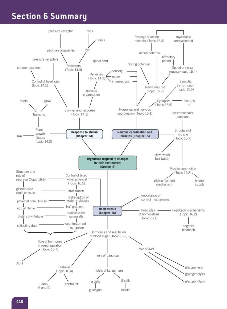 AQA Biology A Level Student Textbook - Comprehensive Guide for High School & College Students | Perfect for Exam Prep & Self-Study
