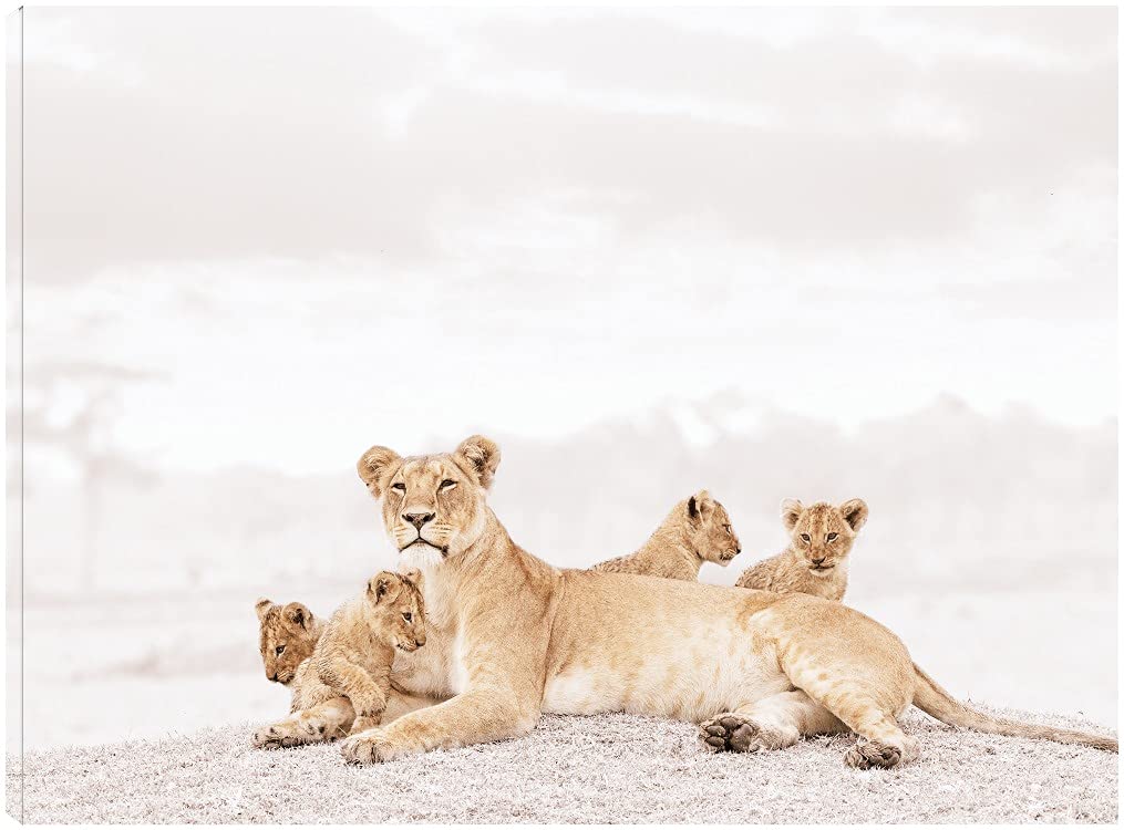 Proud Lioness Fine Art Canvas Wall Decor - 32x24 Inches - Ready to Hang - Modern Lion Painting for Living Room, Bedroom, Office - Perfect for Home & Office Decor - Wildlife Artwork by Artist Tiedge