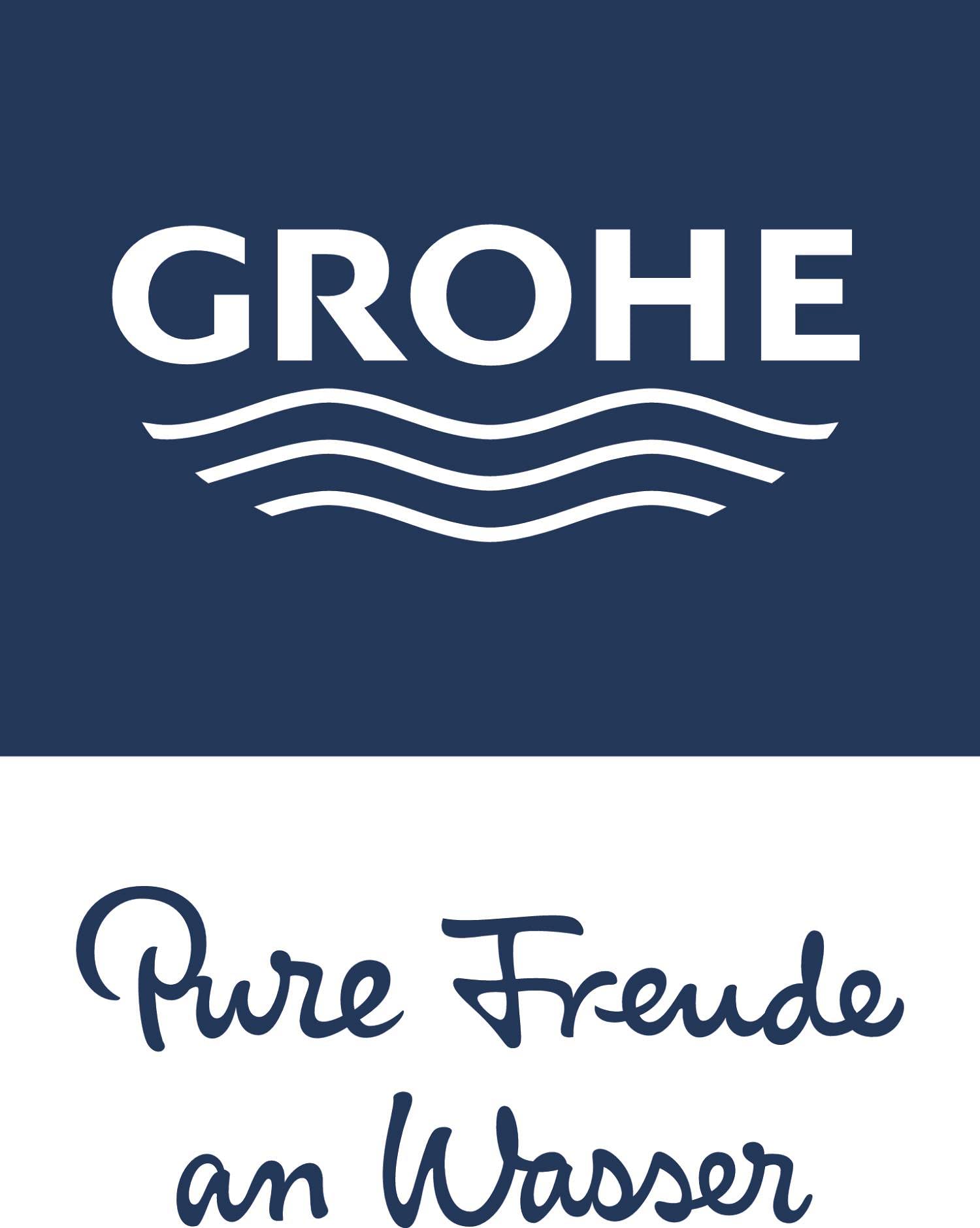 GROHE 28690000 Sena Wall Mount Hand Shower Holder - Chrome Finish for Bathroom & Shower Installation