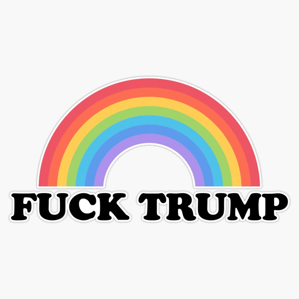 Anti-Trump Waterproof Vinyl Decal Stickers - 5 Inch Political Bumper Stickers for Cars, Laptops, Windows | Durable Outdoor Decoration for Conservative Protests & Political Expression