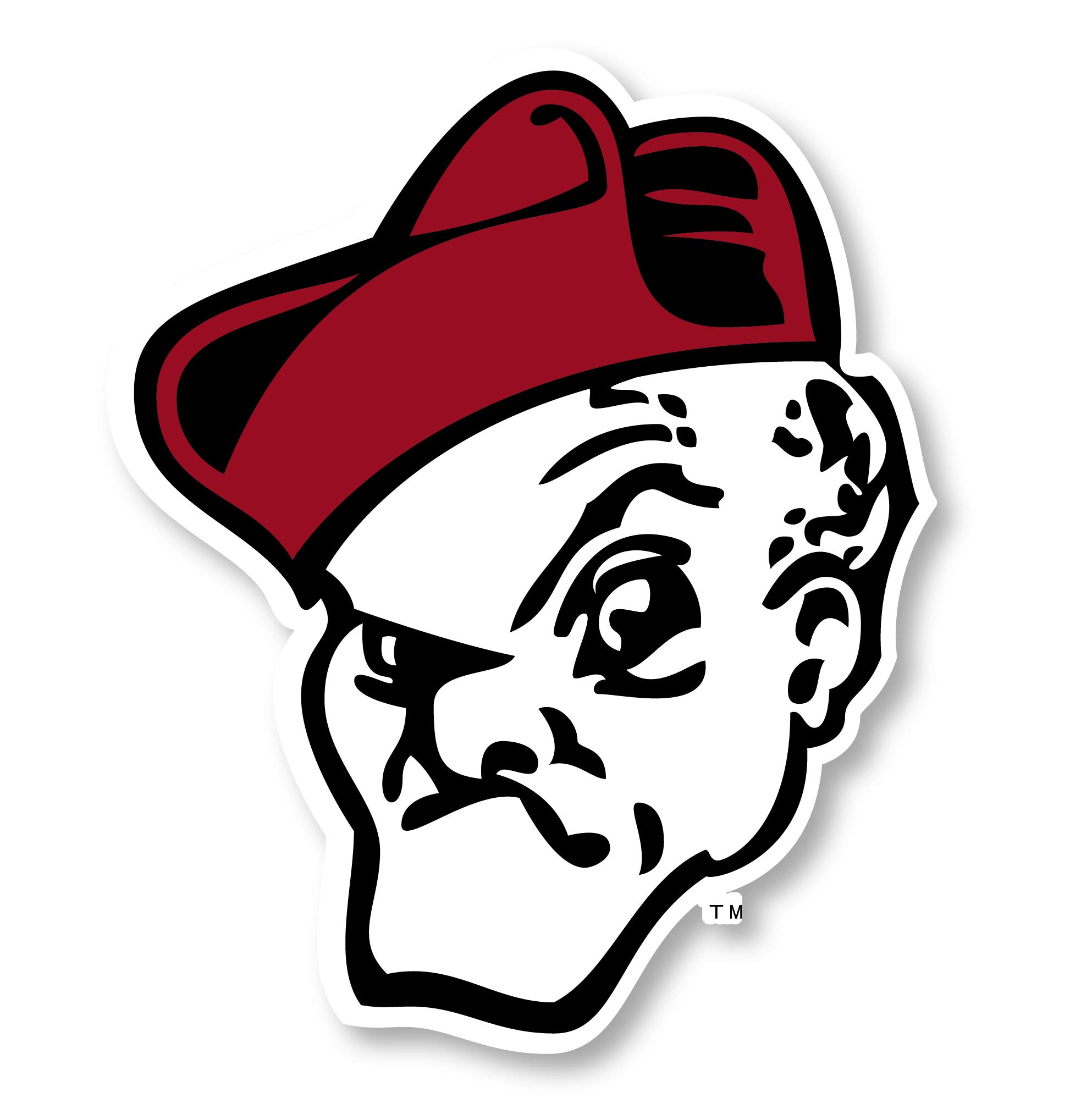 Official Ohio Wesleyan University 12