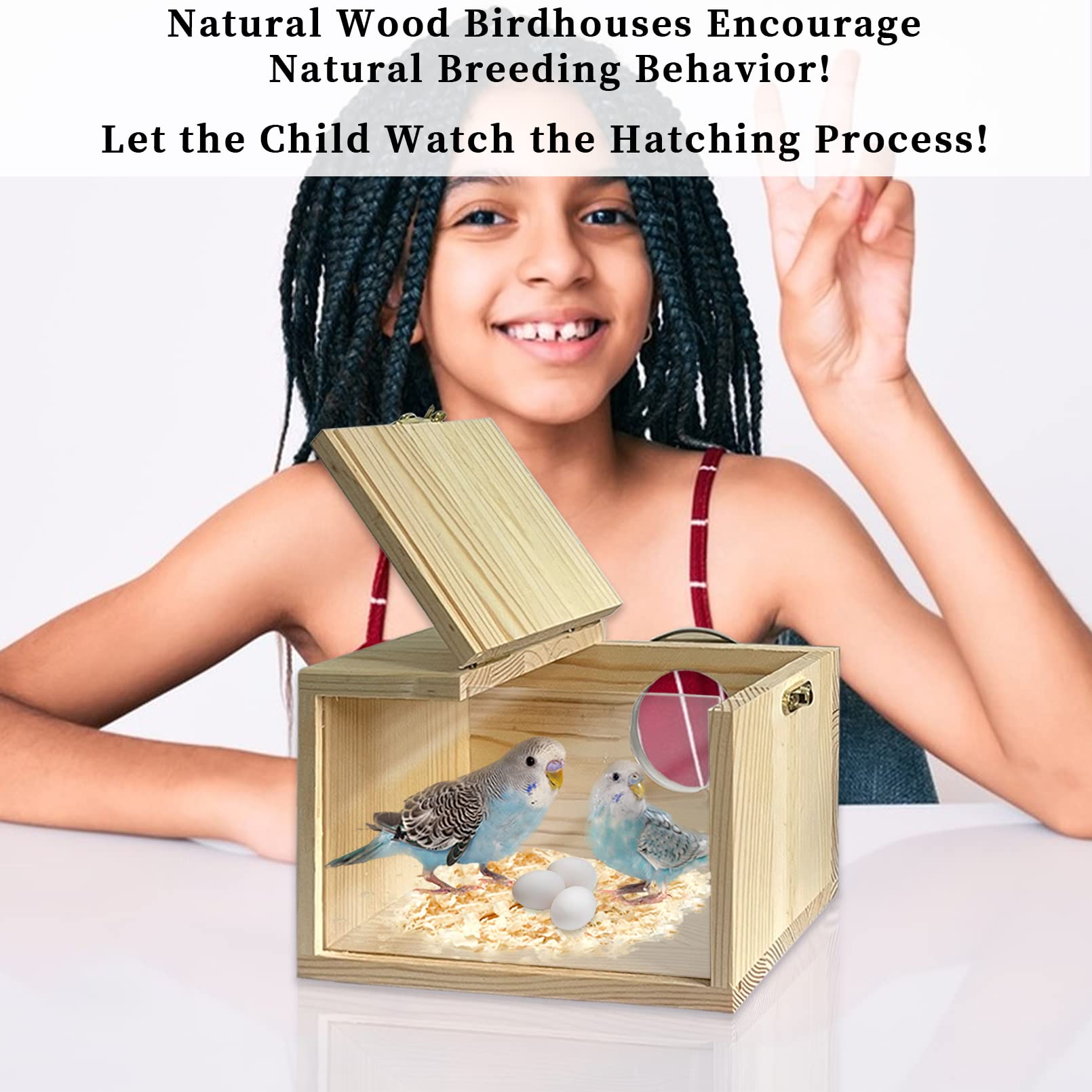 Transparent Wooden Parakeet Nesting Box - Natural Bird Breeding House with Perch for Lovebirds, Cockatiels & Canaries | Perfect for Cage Mounting & Safe Bird Nesting