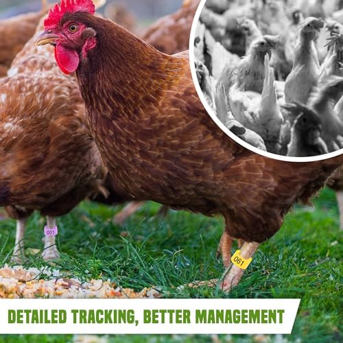 Numbered & Multi-Colored Plastic Poultry Leg Bands - 0.6