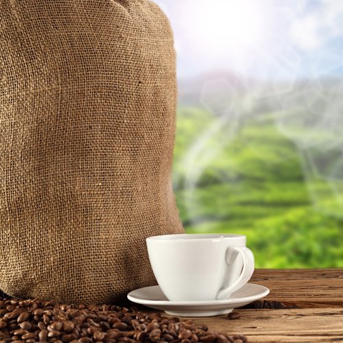 Premium Brazil Santos 100% Arabica Coffee Beans - Fresh Roasted, 5lb Bulk Whole Bean Coffee for Espresso & Drip Brewing - Perfect for Home, Office & Cafe Use