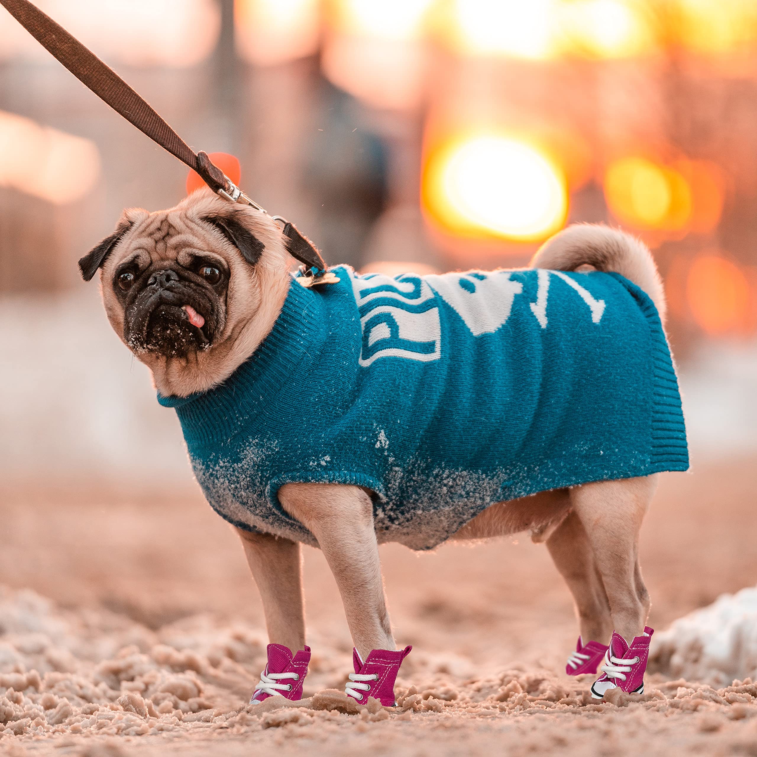 **Dog Boots for Small Medium Large Dogs - Anti-Slip Dog Shoes with Breathable Sole for Hot Pavement & Winter Snow - Paw Protector for Walking, Hiking & Outdoor Adventures (Size 5, Blue)**