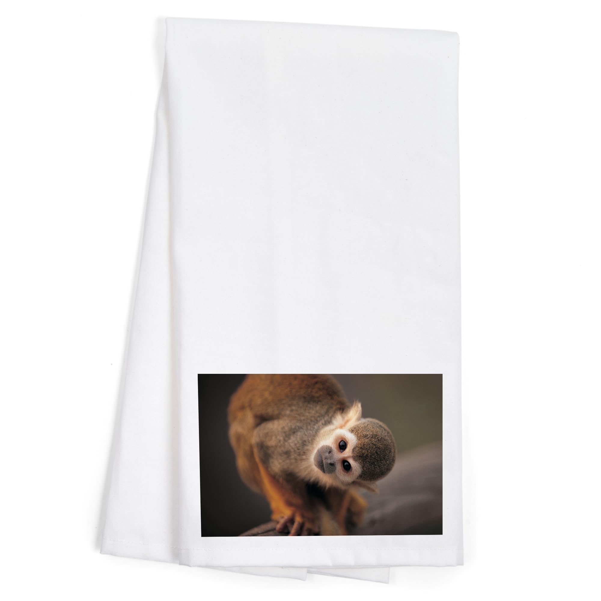 Lantern Press Squirrel Monkey 100% Cotton Tea Towel - Decorative Hand Towel for Kitchen & Home Decor - Perfect for Dish Drying, Gift Giving, and Farmhouse Style Decor
