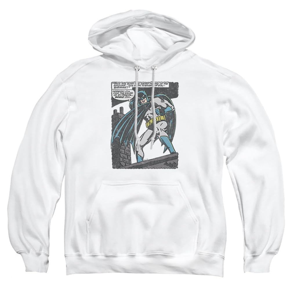 Trevco Batman Bat Origins Unisex Adult Pullover Hoodie | DC Comics Superhero Sweatshirt for Men & Women | Casual Wear, Cosplay & Gift
