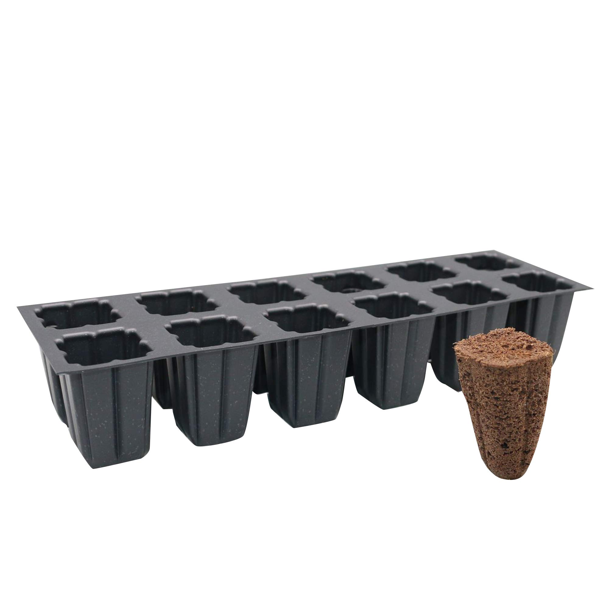 12-Cell Seed Starter Tray Kit with 12 Plugs - Reusable Seedling Starter for Indoor Gardening, Plant Germination & Propagation (10 x 3 Inches) - Perfect for Herbs, Vegetables & Flowers