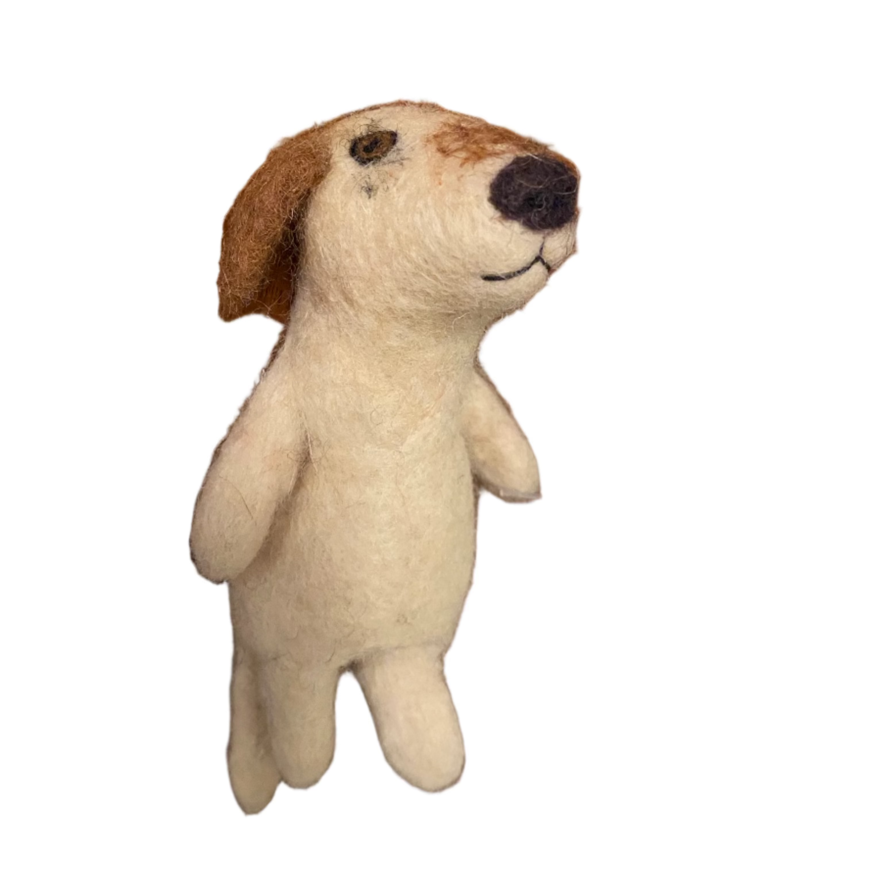 Adorable Felt Finger Puppets - Cats & Dogs Set for Kids, Storytelling & Early Learning - Perfect for Playtime, Classroom & Interactive Fun