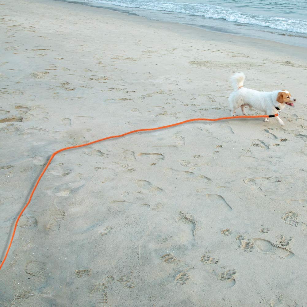 20ft Reflective Dog Training Leash - Long Floating Lead with Soft Handle for Outdoor Activities | Camping, Hiking, Swimming, Beach & Lake Use | Durable 6M Orange Leash for Large Dogs